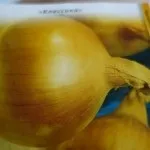 Баклажан агротехніка вирощування, всі тонкощі і секрети догляду в теплиці (баклажан. Агротехніка) Баклажан агротехніка вирощування, всі тонкощі і секрети догляду в теплиці