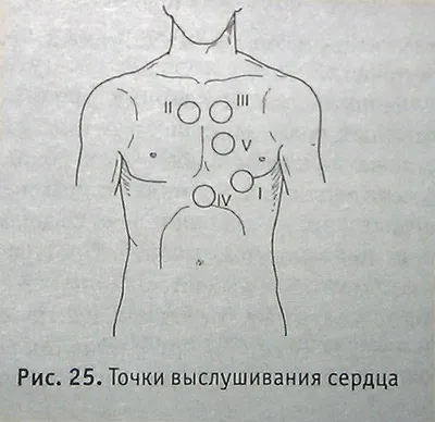 Аускультація серця - неофіційний сайт швидкої допомоги Запорожьеа (серця) Аускультація серця - неофіційний сайт швидкої допомоги Запорожьеа