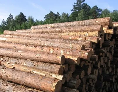 Баланси хвойні за доступною ціною в Ханти-Мансійську - виробництво і постачання соснових балансів на (баланси деревні) Баланси хвойні за доступною ціною в Ханти-Мансійську - виробництво і постачання соснових балансів на
