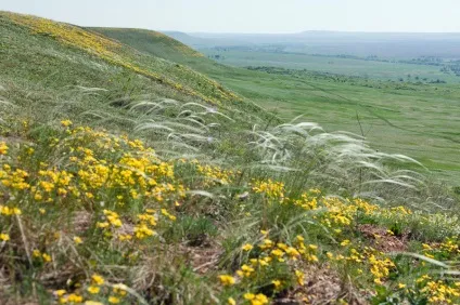 Автогід по визначних пам'ятках самарської області (карті Відстань Самари кілометрів) Автогід по визначних пам'ятках самарської області