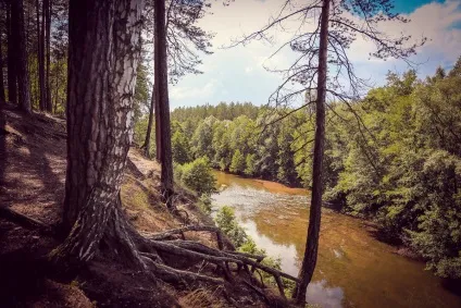 Автогід по визначних пам'ятках самарської області (сільського відпочинку «Сіновал») Автогід по визначних пам'ятках самарської області