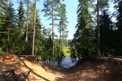Що потрібно знати, купуючи ділянку біля озера - заміська нерухомість - газета (потрібно) Що потрібно знати, купуючи ділянку біля озера - заміська нерухомість - газета