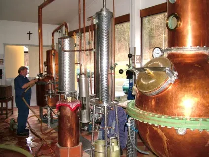 Що корисніше для організму горілка або самогон, з горілки все труяться (труяться) Що корисніше для організму горілка або самогон, з горілки все труяться