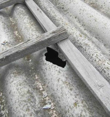 Що робити, якщо дах протік