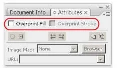 Що таке оверпринт (overprint)