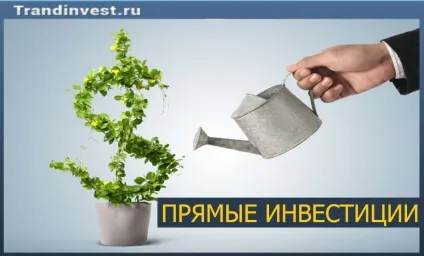 Що таке статрап (startup), куди можна інвестувати