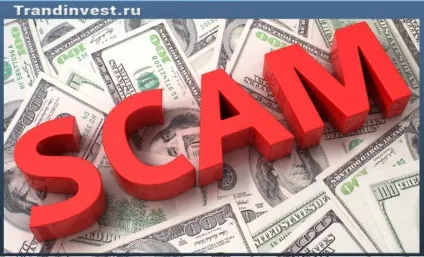 Що таке статрап (startup), куди можна інвестувати