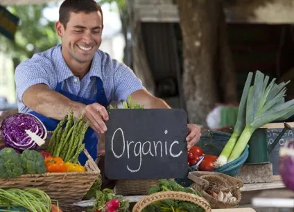 Що таке органічні продукти - їжа - користь і шкода - live organic (продукти) Що таке органічні продукти - їжа - користь і шкода - live organic
