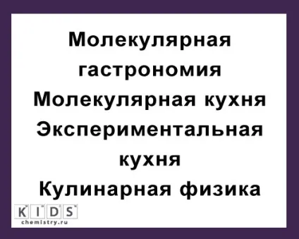 Що таке молекулярна кухня - короткий опис (кухня) Що таке молекулярна кухня - короткий опис