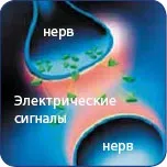 Що важливо знати лікаря про лірику (слід приймати Лирику) Що важливо знати лікаря про лірику