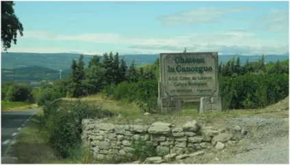 Цикл «вино з кіно»