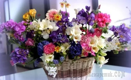 Квіти з капризами поради як продовжити життя у вазі 19 різних квітів (поставити теплу воду) Квіти з капризами поради як продовжити життя у вазі 19 різних квітів