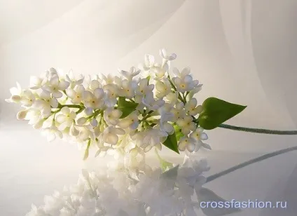 Crossfashion group - квіти з холодного фарфору гілка бузку (майстер-класи натальи Неврова) Crossfashion group - квіти з холодного фарфору гілка бузку