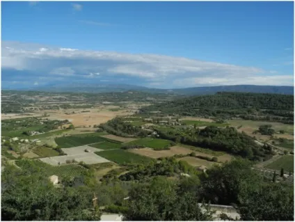 Цикл «вино з кіно»