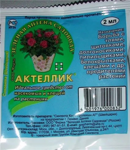 Циперус догляд в домашніх умовах, розмноження, пересадка, хвороби (умовах) Циперус догляд в домашніх умовах, розмноження, пересадка, хвороби