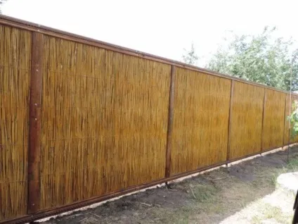 Робимо паркан з очерету своїми руками з підручних матеріалів (підручних) Робимо паркан з очерету своїми руками з підручних матеріалів