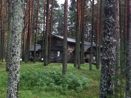 Детокс по-російськи