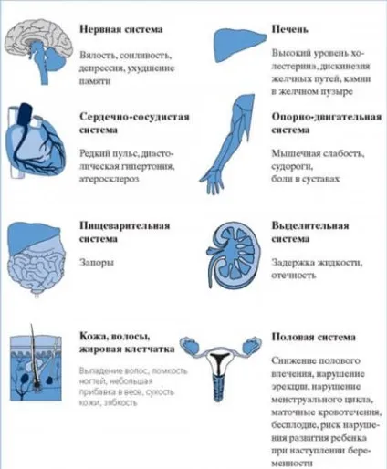 Дієта при гіпотиреозі щитовидної залози особливості меню (які) Дієта при гіпотиреозі щитовидної залози особливості меню