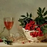 Домашнє вино з червоної горобини по простому рецептом (простому) Домашнє вино з червоної горобини по простому рецептом