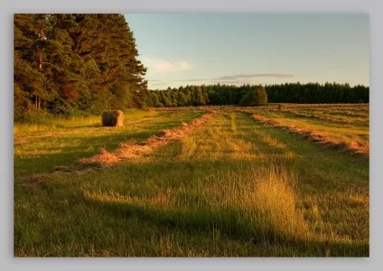 Частка земельної ділянки поняття, виділ, купівля, продаж, оренда, дарування (2017), земельні питання (виділ) Частка земельної ділянки поняття, виділ, купівля, продаж, оренда, дарування (2017), земельні питання