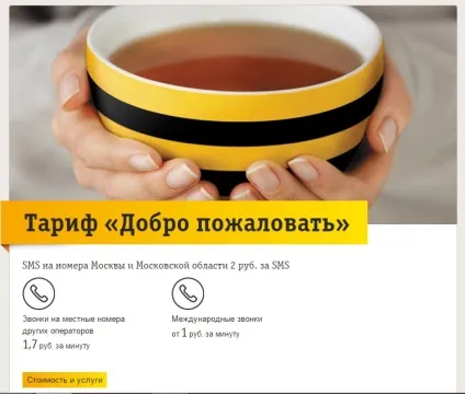 Ласкаво просимо »від Білайн опис тарифу, як підключити