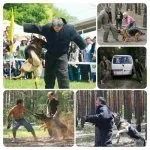 Дресирування підготовка навчання виховання школа охоронних собак супроводу недорого вартість (підготовка) Дресирування підготовка навчання виховання школа охоронних собак супроводу недорого вартість