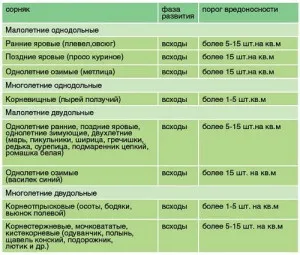 Дводольні бур'яни - способи боротьби з однорічними і багаторічними видами відео (бур'яни) Дводольні бур'яни - способи боротьби з однорічними і багаторічними видами відео