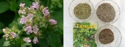 Ефірна олія чебрецю властивості і застосування (масло) Ефірна олія чебрецю властивості і застосування