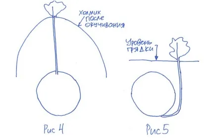 Ефект підгортання без підгортання