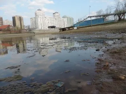 Екологія Житомирського краю проблеми (краю) Екологія Житомирського краю проблеми