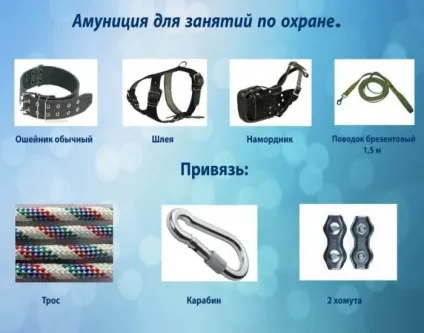 Дресирування підготовка навчання виховання школа охоронних собак супроводу недорого вартість (школа) Дресирування підготовка навчання виховання школа охоронних собак супроводу недорого вартість