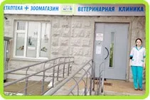 Якщо ви вирішили завести кішку (кішку) Якщо ви вирішили завести кішку