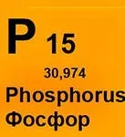 Фосфор в організмі людини, блог Стружкові Анни (фосфор) Фосфор в організмі людини, блог Стружкові Анни