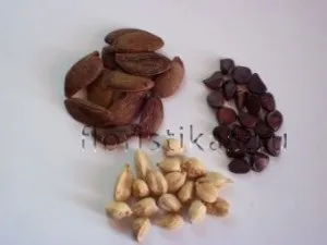 Флористика (композиція) - флористичний колаж (флористичний) Флористика (композиція) - флористичний колаж