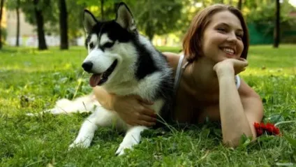 Факти про користь собак