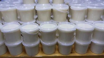 Білий мед як добувають і застосовують продукт (білий бджолиний продукт) Білий мед як добувають і застосовують продукт