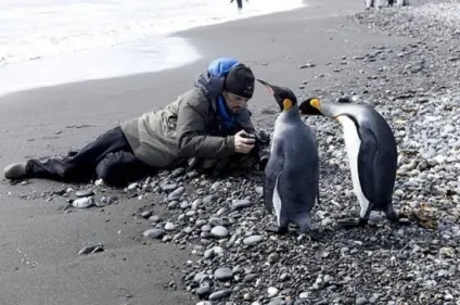 Божевільні з фотоапаратами з - national geographic (national) Божевільні з фотоапаратами з - national geographic