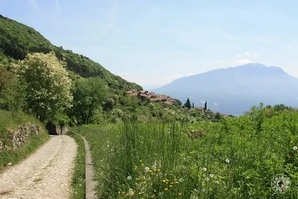 Гарда занедбане Борго canale di tenno (canale) Гарда занедбане Борго canale di tenno