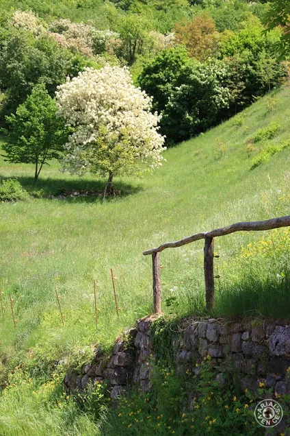 Гарда занедбане Борго canale di tenno (Борго) Гарда занедбане Борго canale di tenno