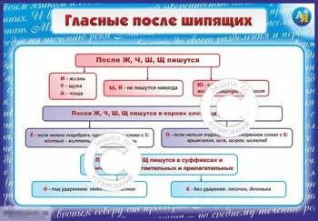 Голосні після шиплячих і ц (після) Голосні після шиплячих і ц
