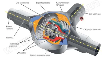 Головна передача і диференціал - призначення, будову і типи (призначення головної передачі) Головна передача і диференціал - призначення, будову і типи