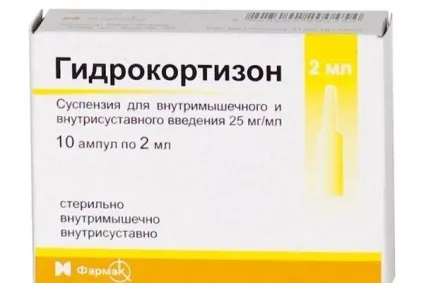 Гідрокортизон для інгаляцій інструкція із застосування (гідрокортизон) Гідрокортизон для інгаляцій інструкція із застосування