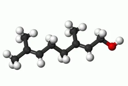 Geraniol (гераніол) шкоду і користь на організм людини (людини) Geraniol (гераніол) шкоду і користь на організм людини