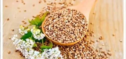Гречка з кефіром вранці натщесерце користь і шкода (користь) Гречка з кефіром вранці натщесерце користь і шкода
