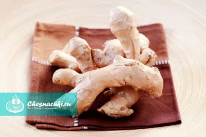 Імбир користь і шкода для організму (користь шкоду організму) Імбир користь і шкода для організму