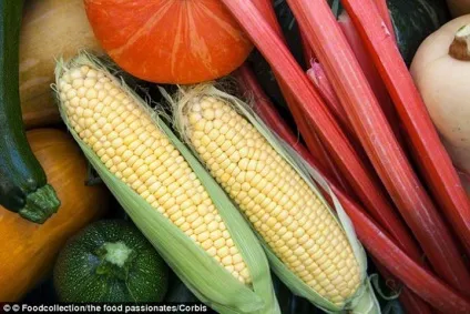 Група вчених розкрила секрет харчових продуктів все, що ми їмо (вчених) Група вчених розкрила секрет харчових продуктів все, що ми їмо