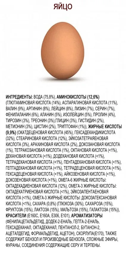 Група вчених розкрила секрет харчових продуктів все, що ми їмо (їмо) Група вчених розкрила секрет харчових продуктів все, що ми їмо