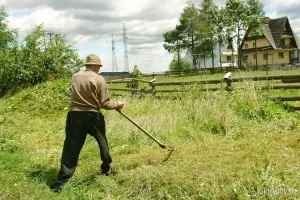 Інструмент садівника або що має бути в майстерні відео (садівника) Інструмент садівника або що має бути в майстерні відео