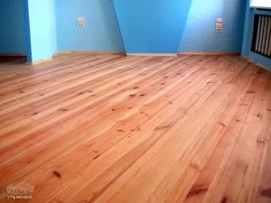З чого зробити підлоги в будинку керамічна плитка, паркет, лінолеум, дачні справи (чого) З чого зробити підлоги в будинку керамічна плитка, паркет, лінолеум, дачні справи