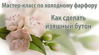 Іриси з холодного відео! Відео серфінг (відео) Іриси з холодного відео! Відео серфінг